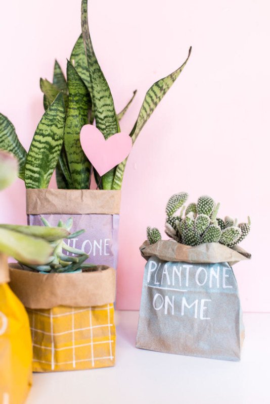 budget-friendly-diy-valentines-with-plants-4