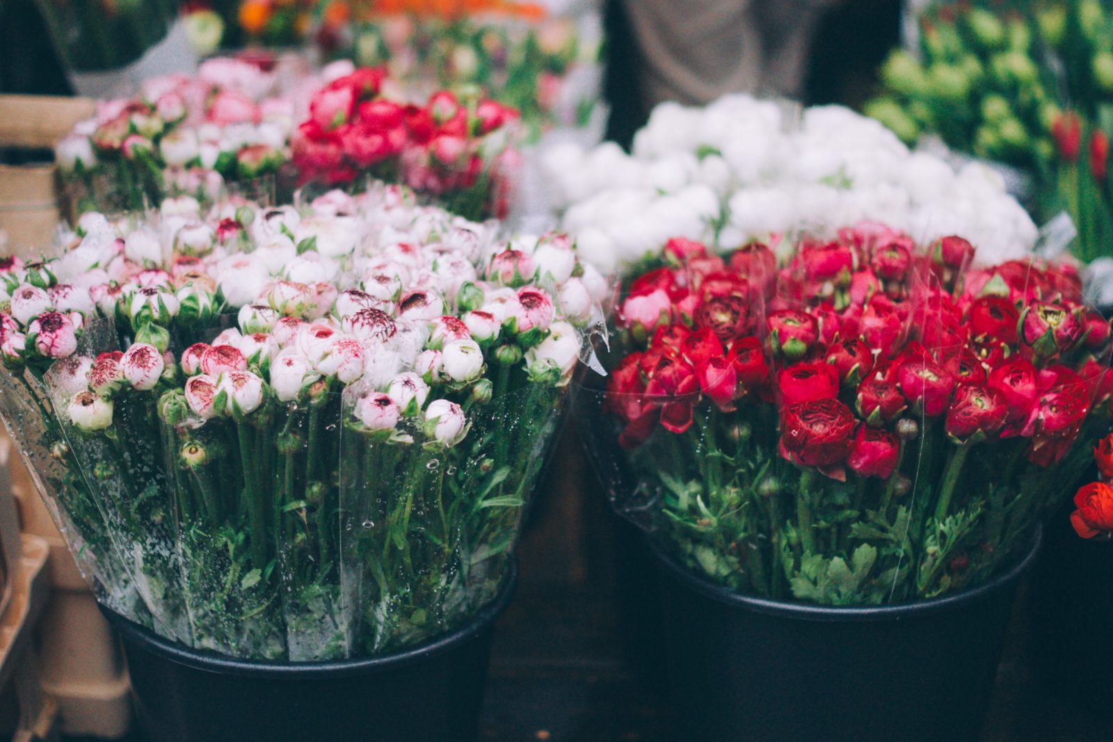 Buy at the Farmer's Market in June