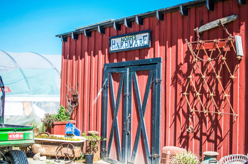 A quick 30 minute trip from Vancouver, visit Westham Island for a quaint farming community experience in Delta, BC.