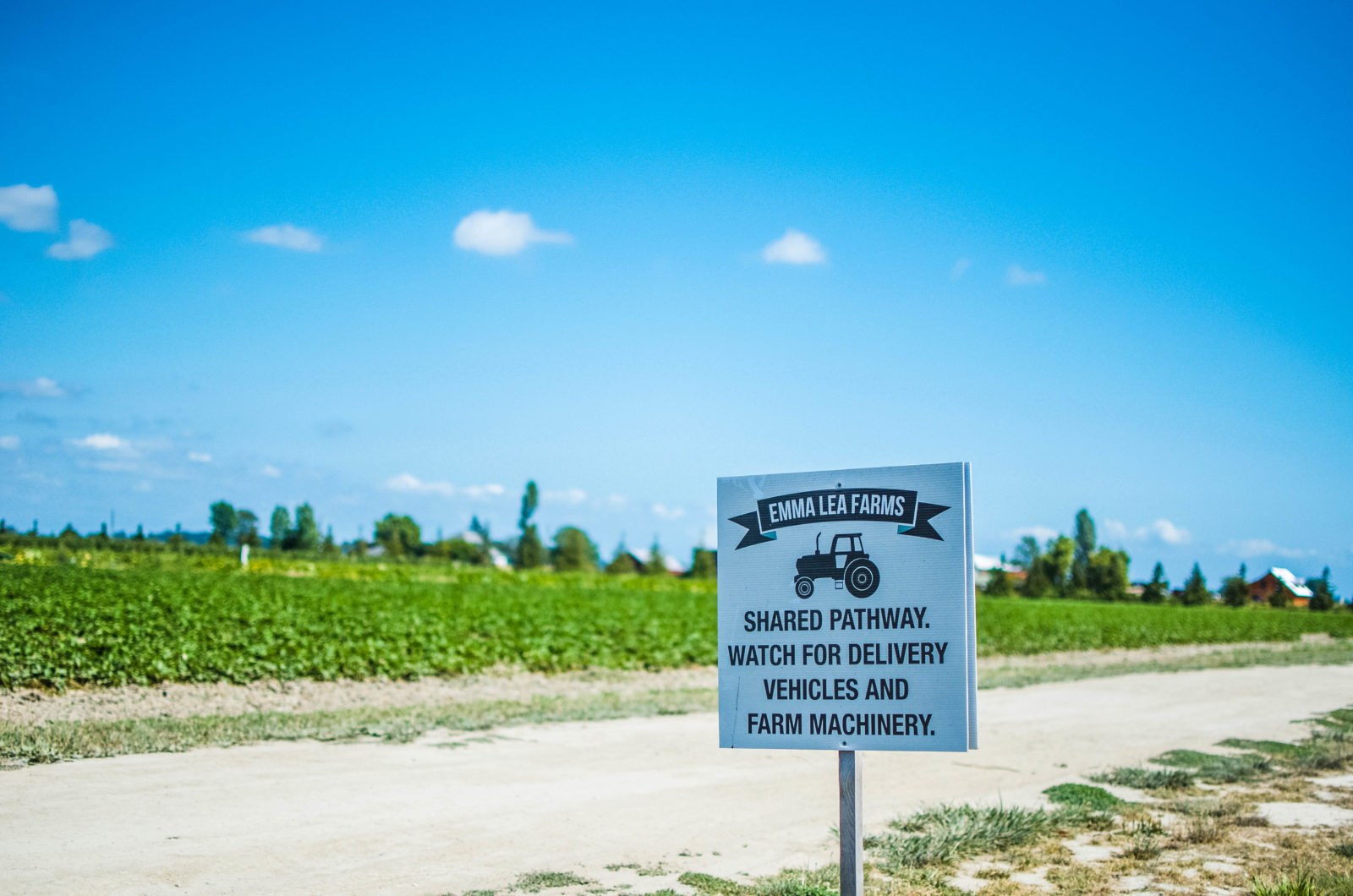 A quick 30 minute trip from Vancouver, visit Westham Island for a quaint farming community experience in Delta, BC.