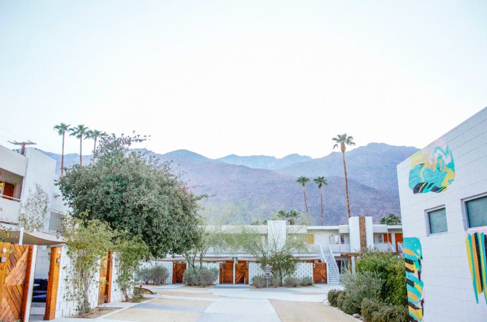 Escape to a hip oasis at the Ace Hotel and Swim Club in Palm Springs for the weekend. Days filled with cocktails, sunshine and fun.