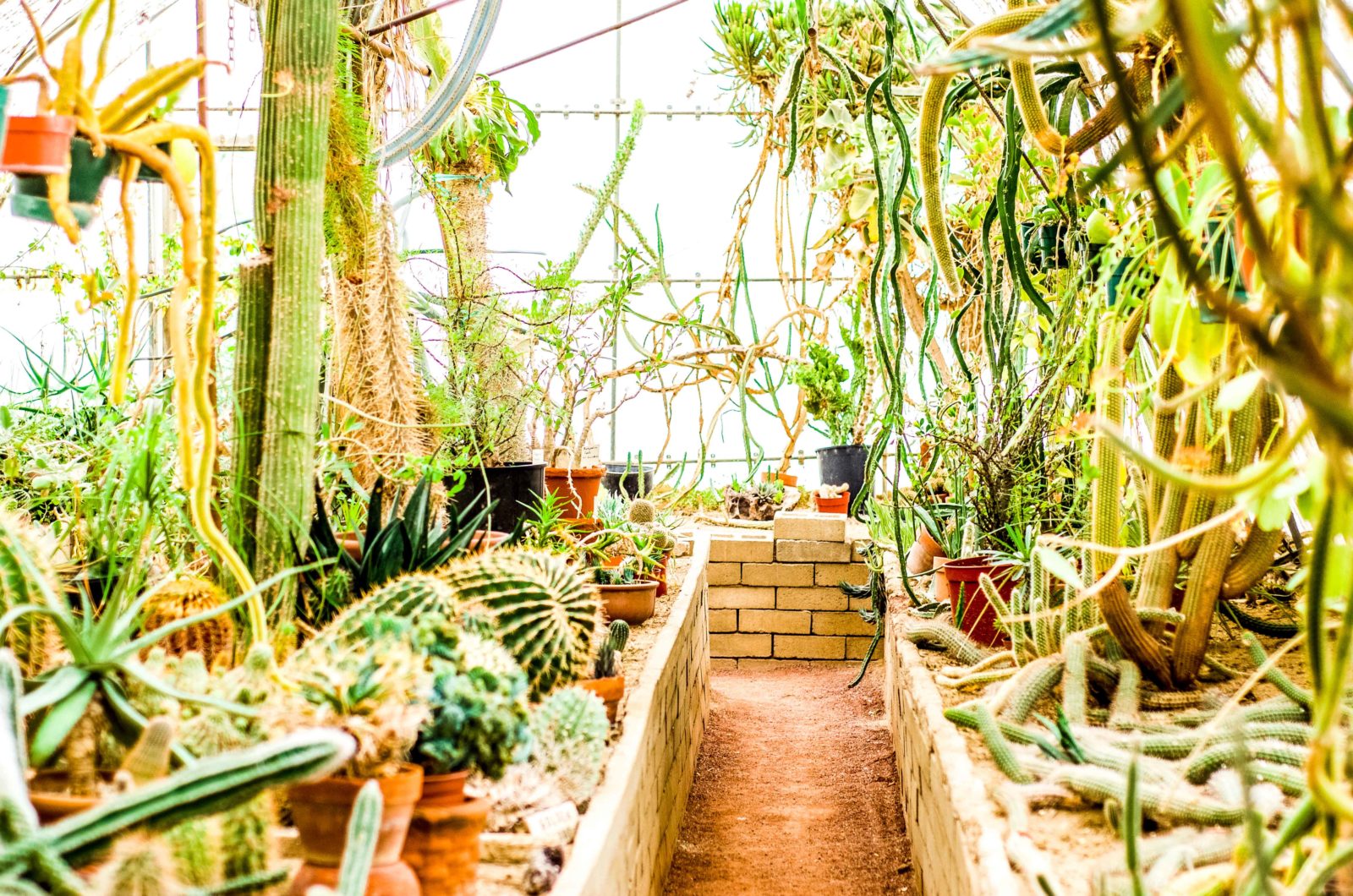 19 Things To Do In Palm Springs — free download