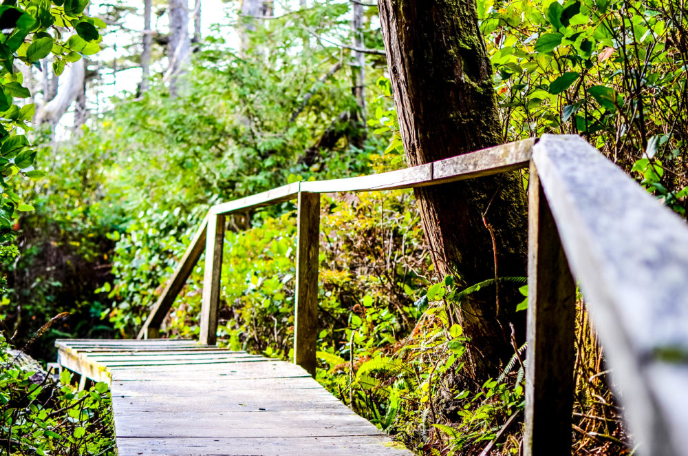 A recap of our amazing stay at the Long Beach Lodge in Tofino, BC. A lodge offering world class dining, surfing and other adventures.