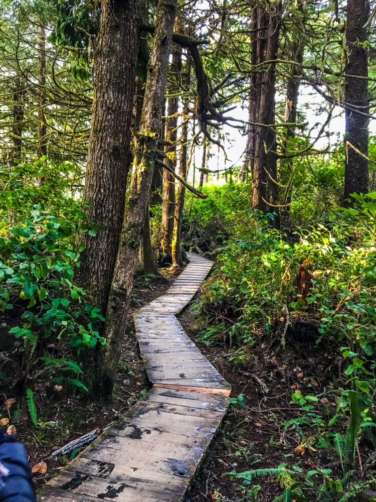 How to enjoy three perfect days in Tofino, BC. An idyllic, surfing town with amazing food, people and beautiful landscapes at every turn.