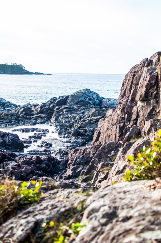 How to enjoy three perfect days in Tofino, BC. An idyllic, surfing town with amazing food, people and beautiful landscapes at every turn.