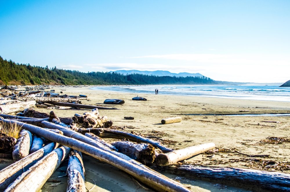 How to enjoy three perfect days in Tofino, BC. An idyllic, surfing town with amazing food, people and beautiful landscapes at every turn.