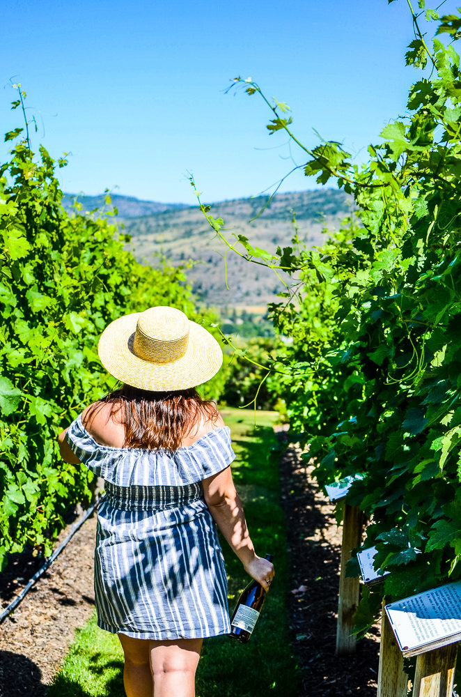 I'm sharing how to spend 3 amazing days in Osoyoos, BC. Canada's only desert, has wineries, a warm lake, great food & 100s of fruit stands.