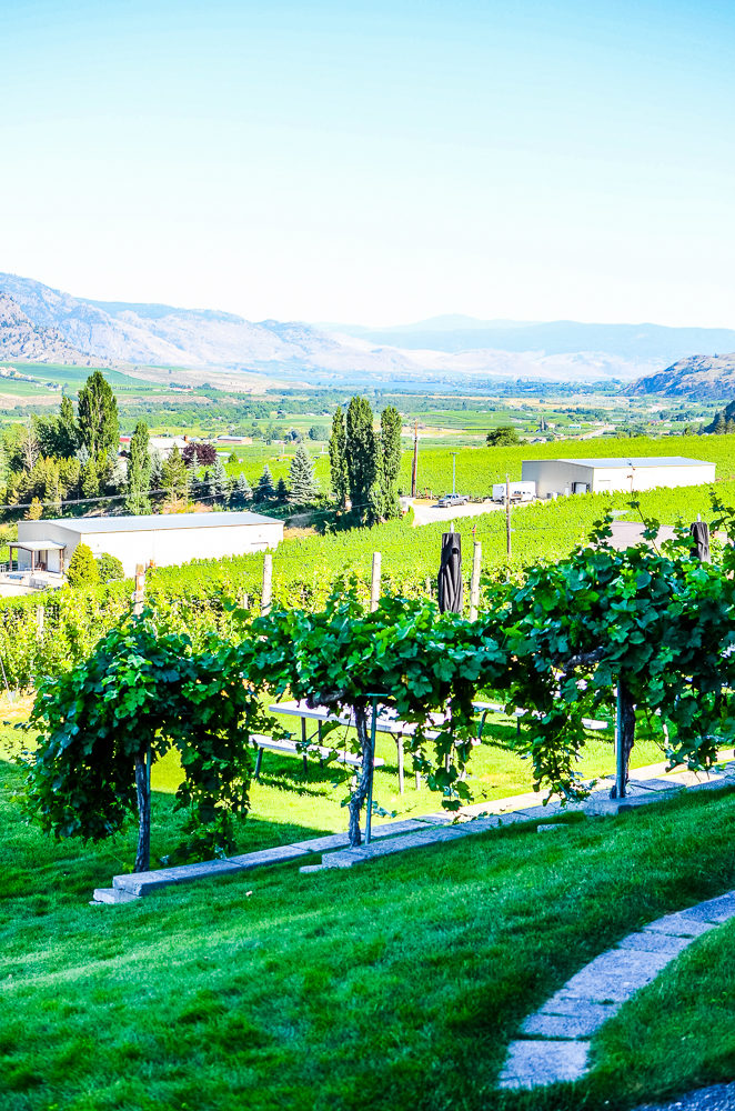 I'm sharing how to spend 3 amazing days in Osoyoos, BC. Canada's only desert, has wineries, a warm lake, great food & 100s of fruit stands.