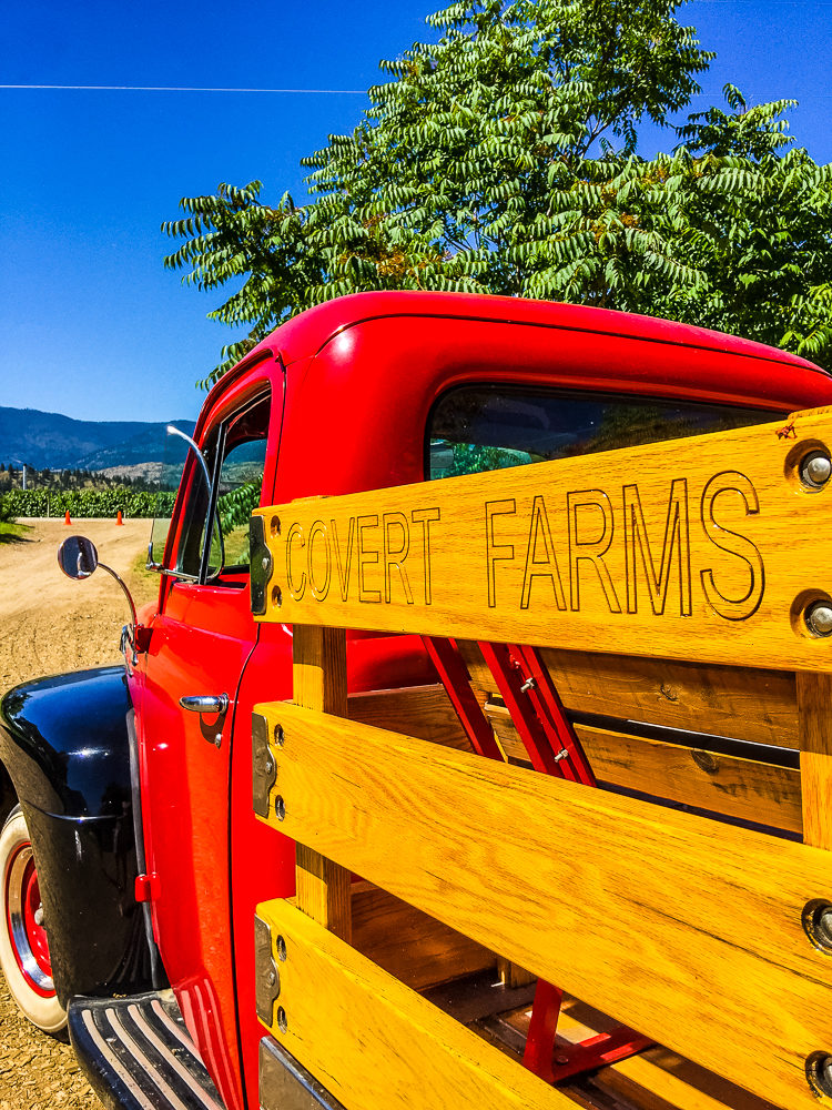 I'm sharing how to spend 3 amazing days in Osoyoos, BC. Canada's only desert, has wineries, a warm lake, great food & 100s of fruit stands.