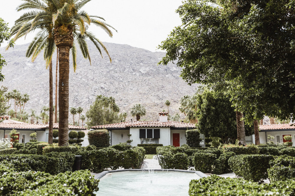 Palm Springs Wedding | A Life Well Consumed