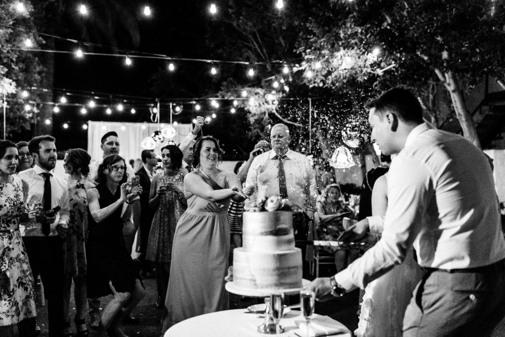 Part four of our Palm Springs wedding at the Avalon Hotel. Take a peek at our reception, see the cake & us dancing our butts off.