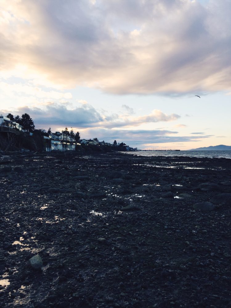 Kitsilano Beach Vancouver