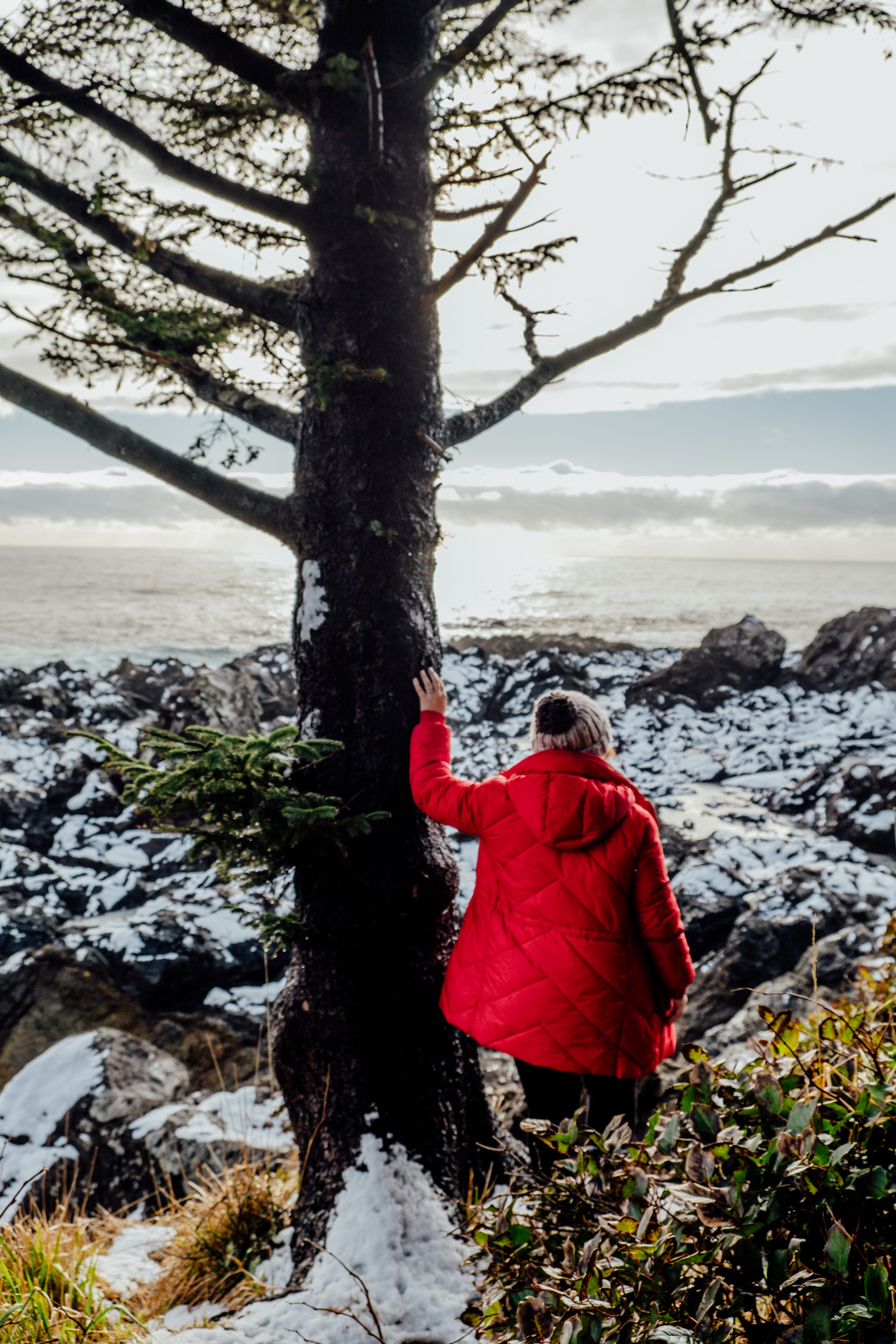 An Essential Tofino Travel Guide