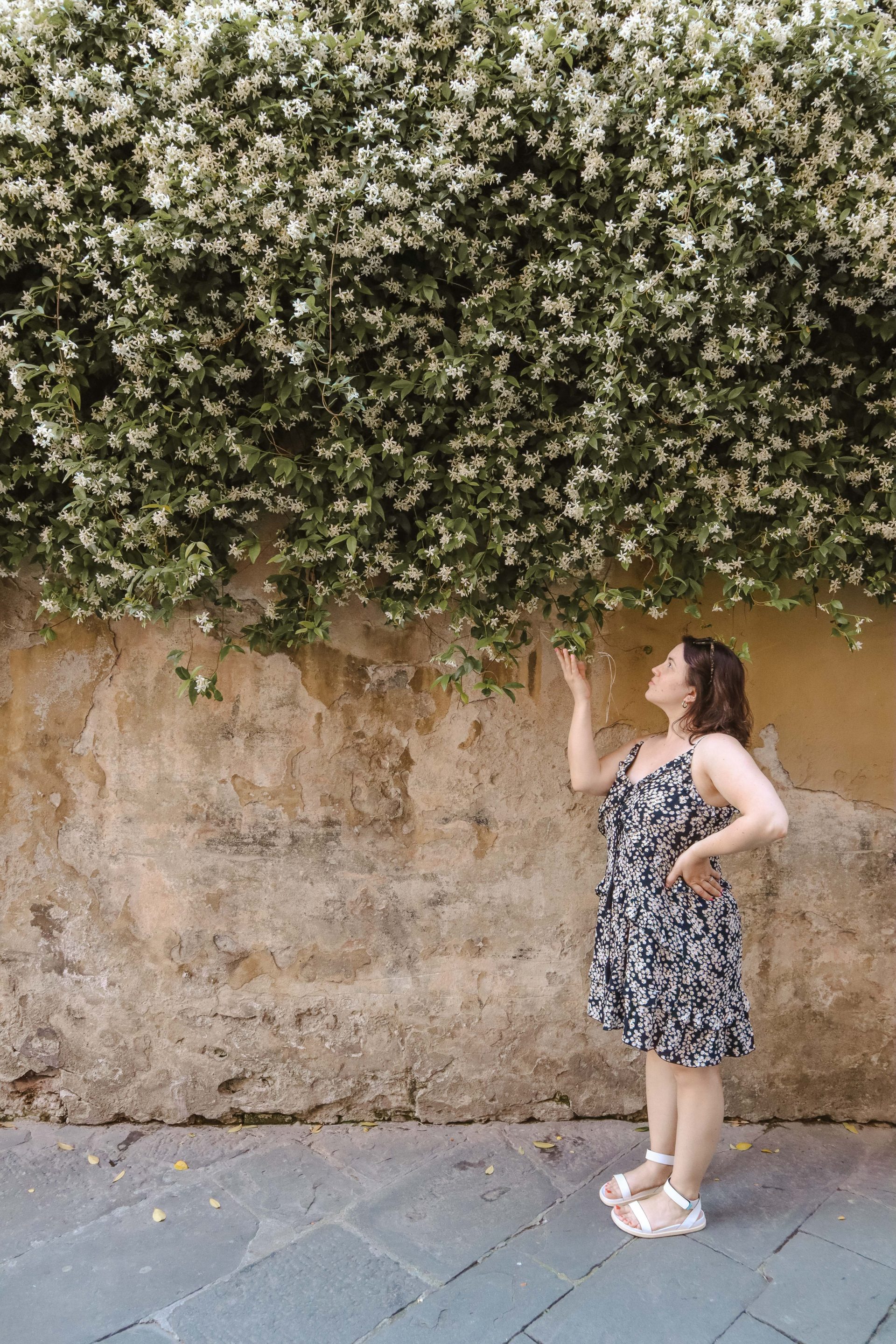A Quick Travel Guide to Lucca, Tuscany