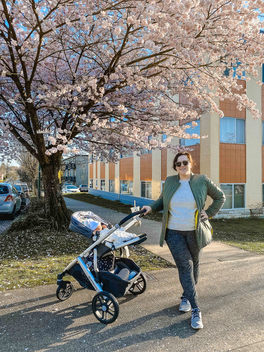 cherry blossoms vancouver