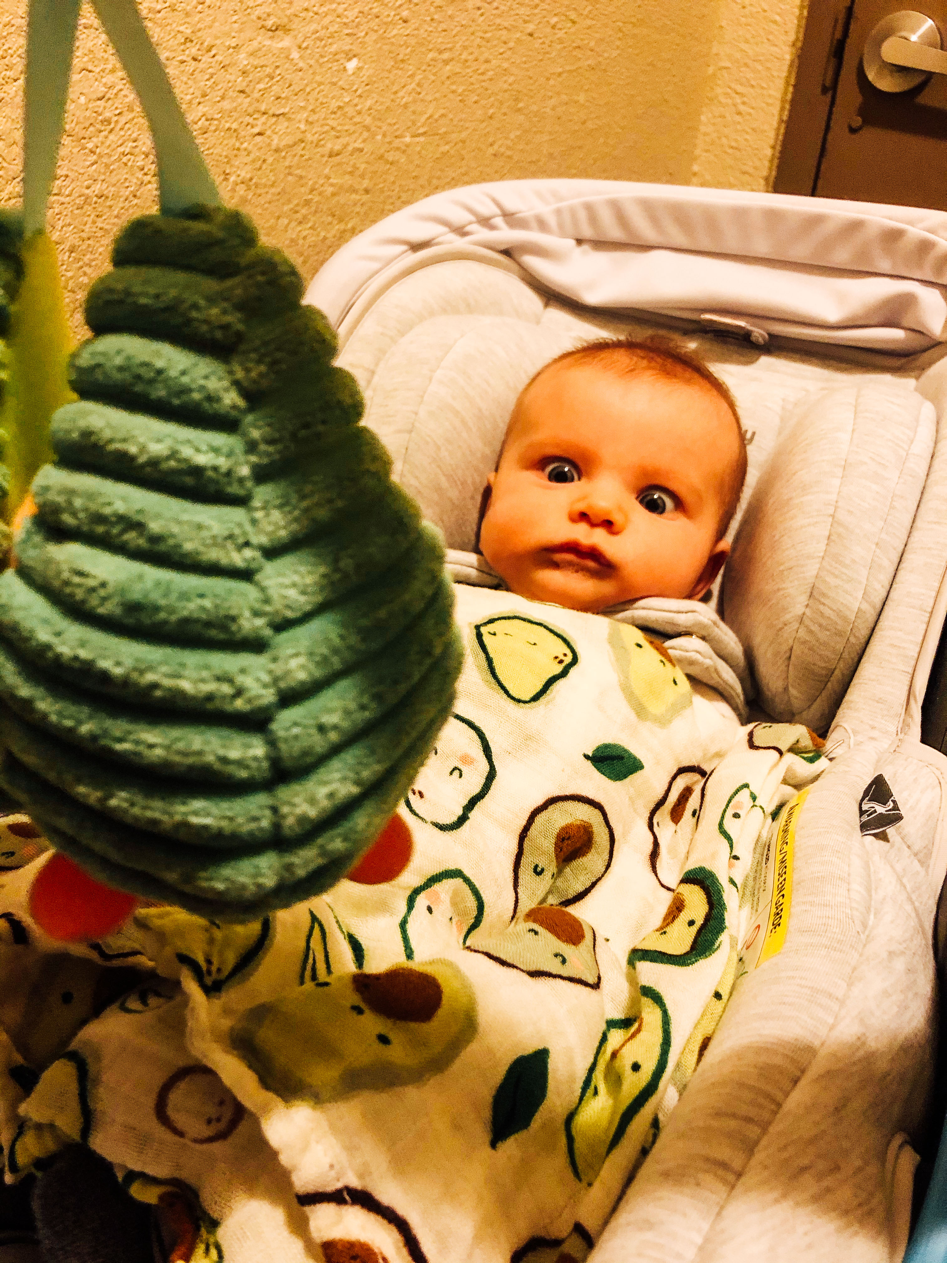 avocado toy for babies