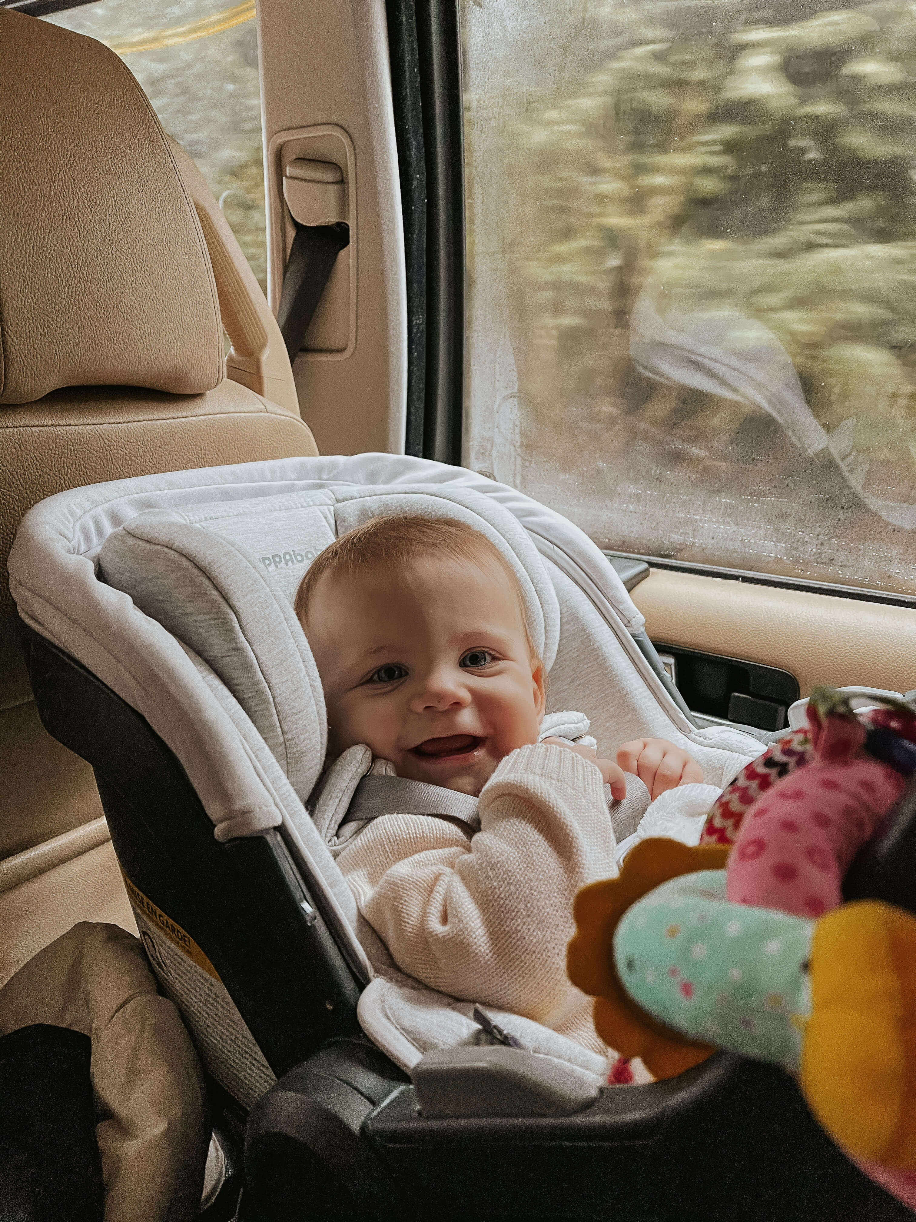 Uppababy Mesa Car Seat in Land Rover