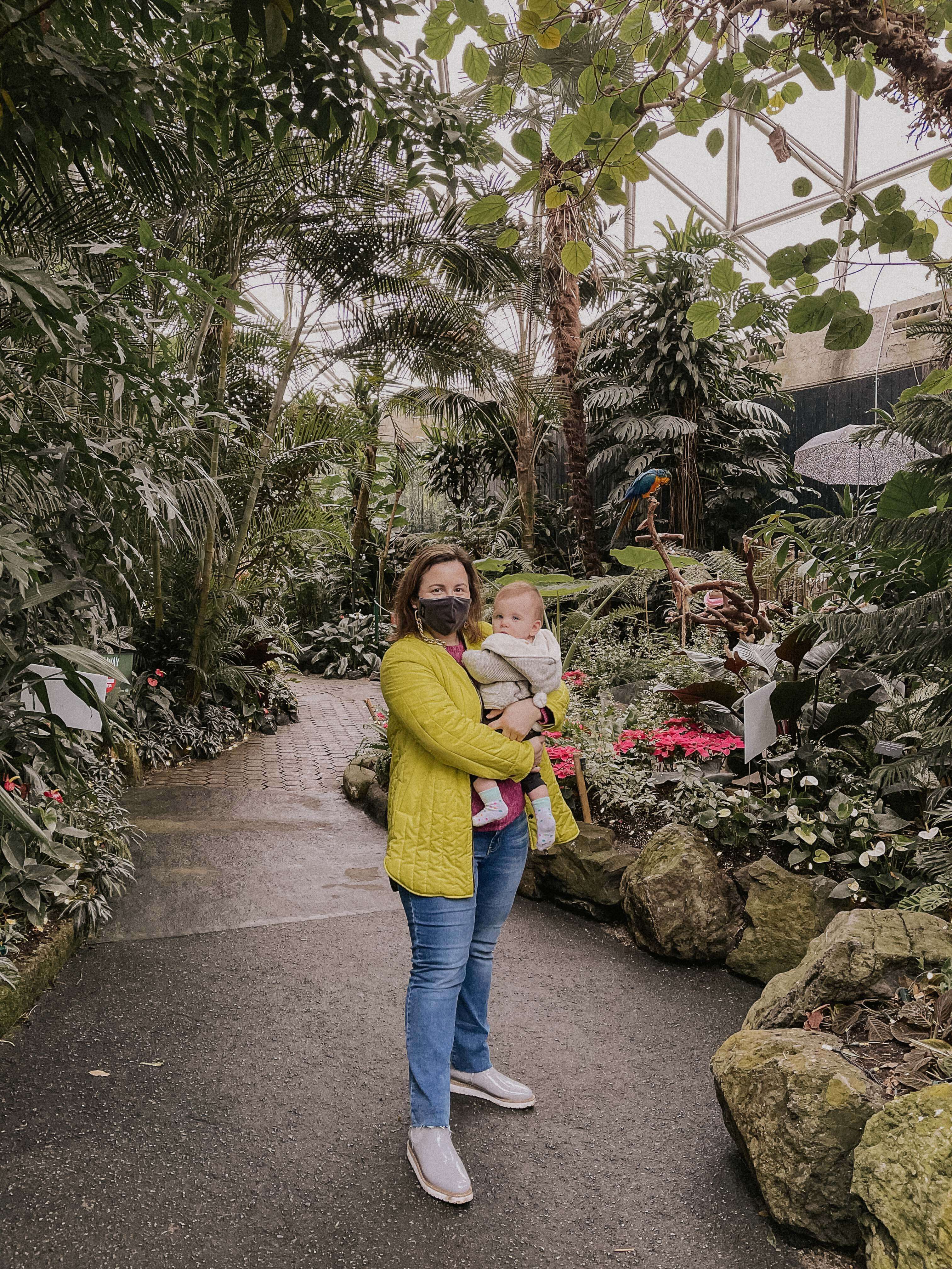 Bloedel Conservatory