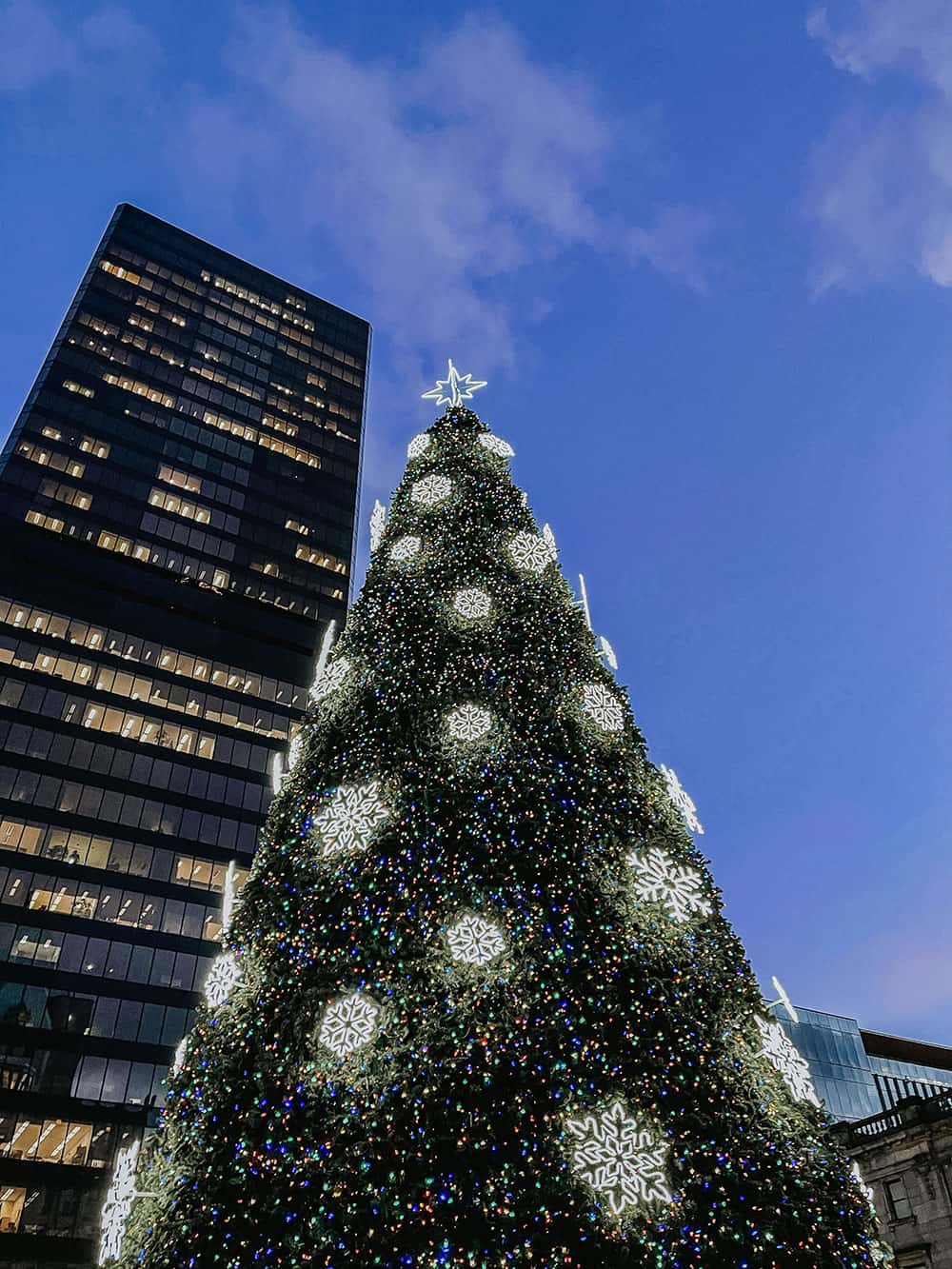 What to Do in Vancouver This Christmas