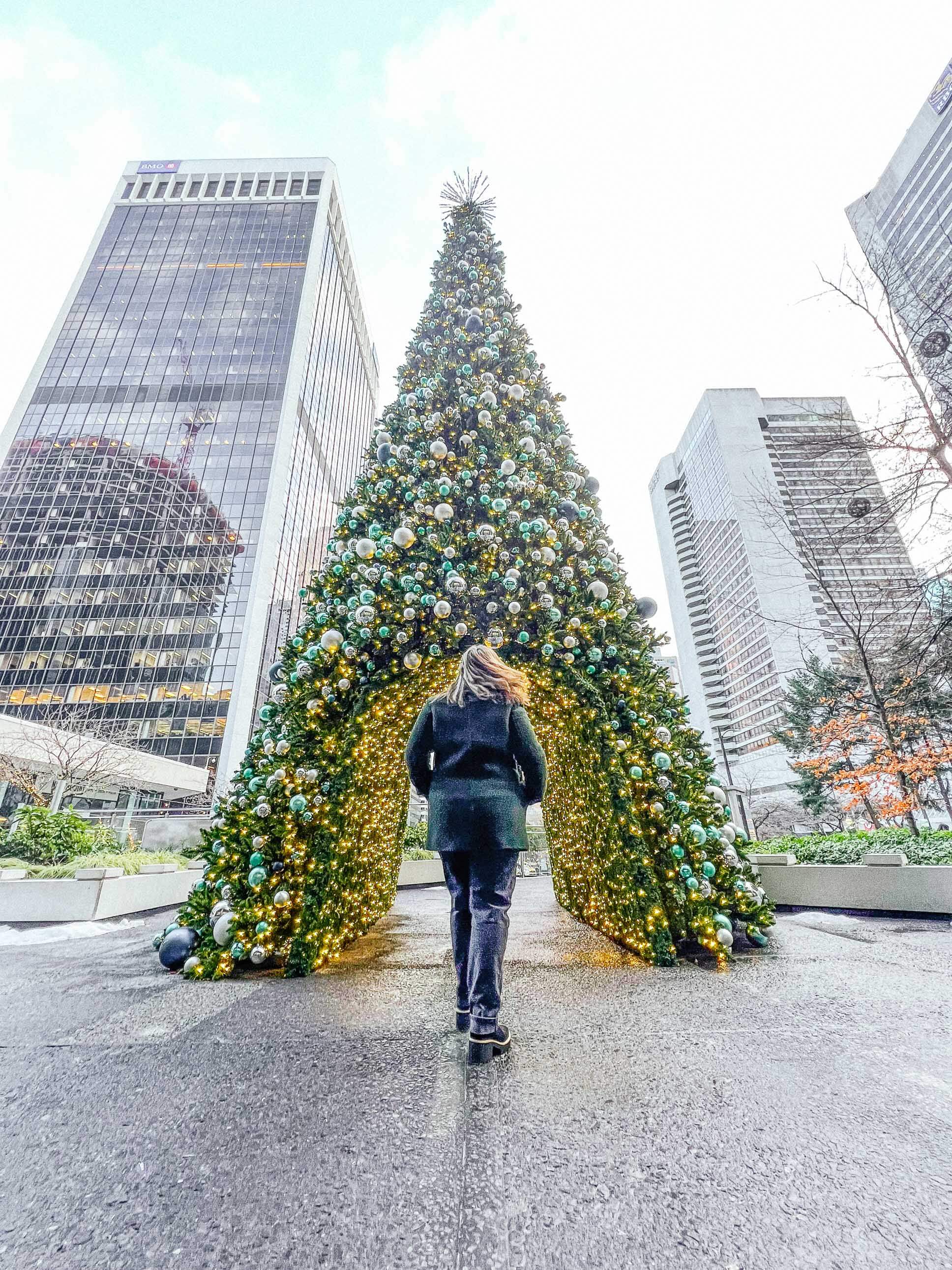 christmas tree in vancouver