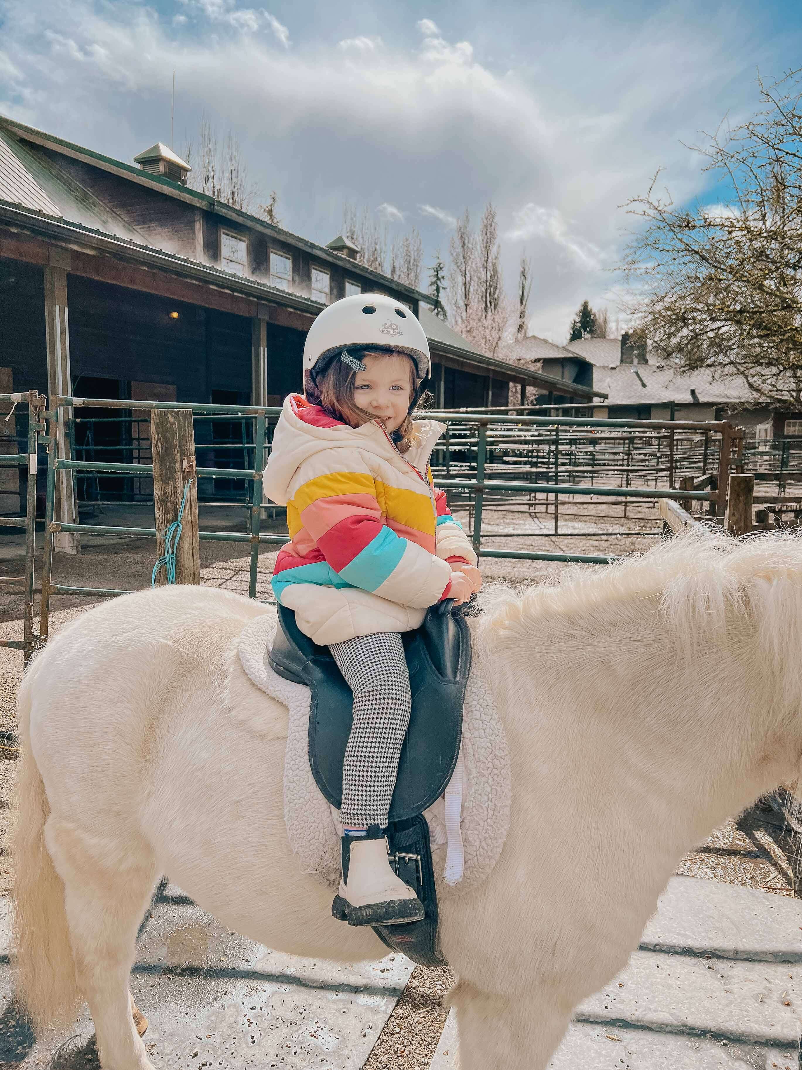 toddler pony ride at southlands farm vancouver