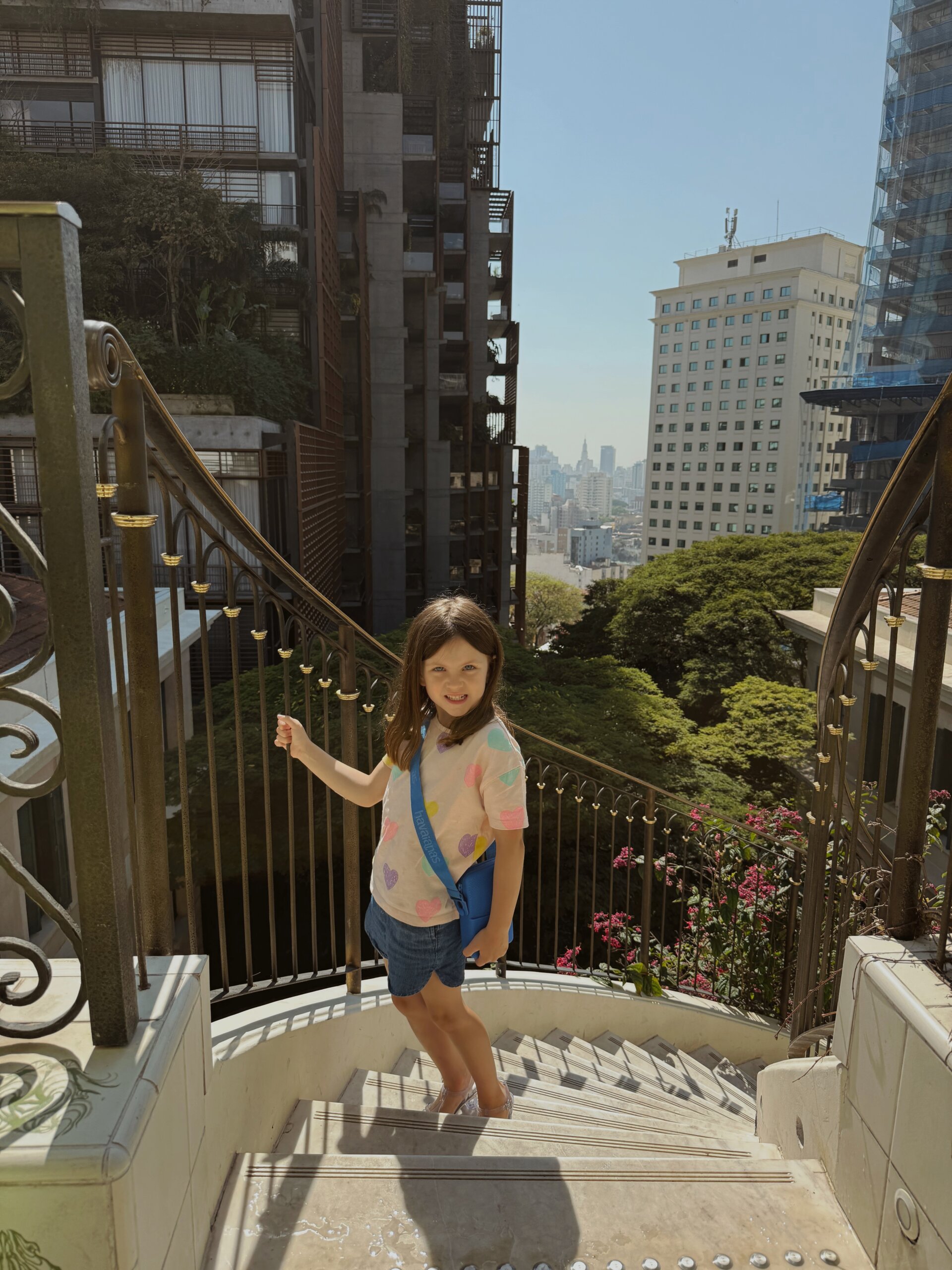 sao paulo skyline from rosewood sau paulo hotel